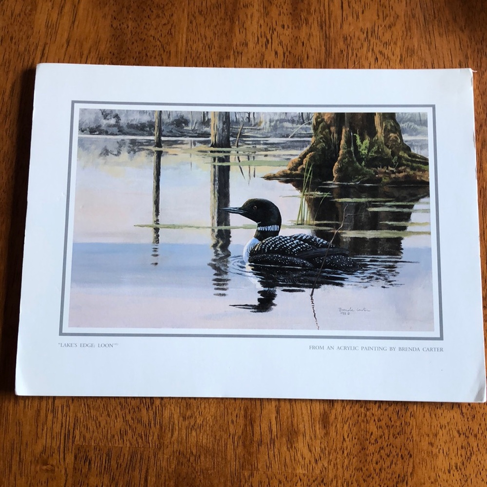 Brenda Carter “Lake’s Edge: Loon” Print